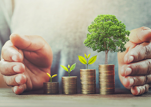 businessman-protection-money-table-with-tree